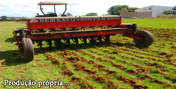 Grama para jardim